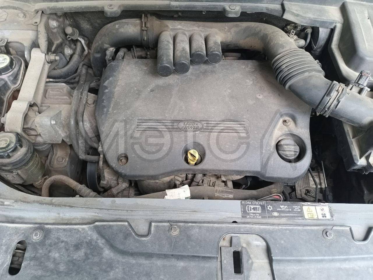Фото 10