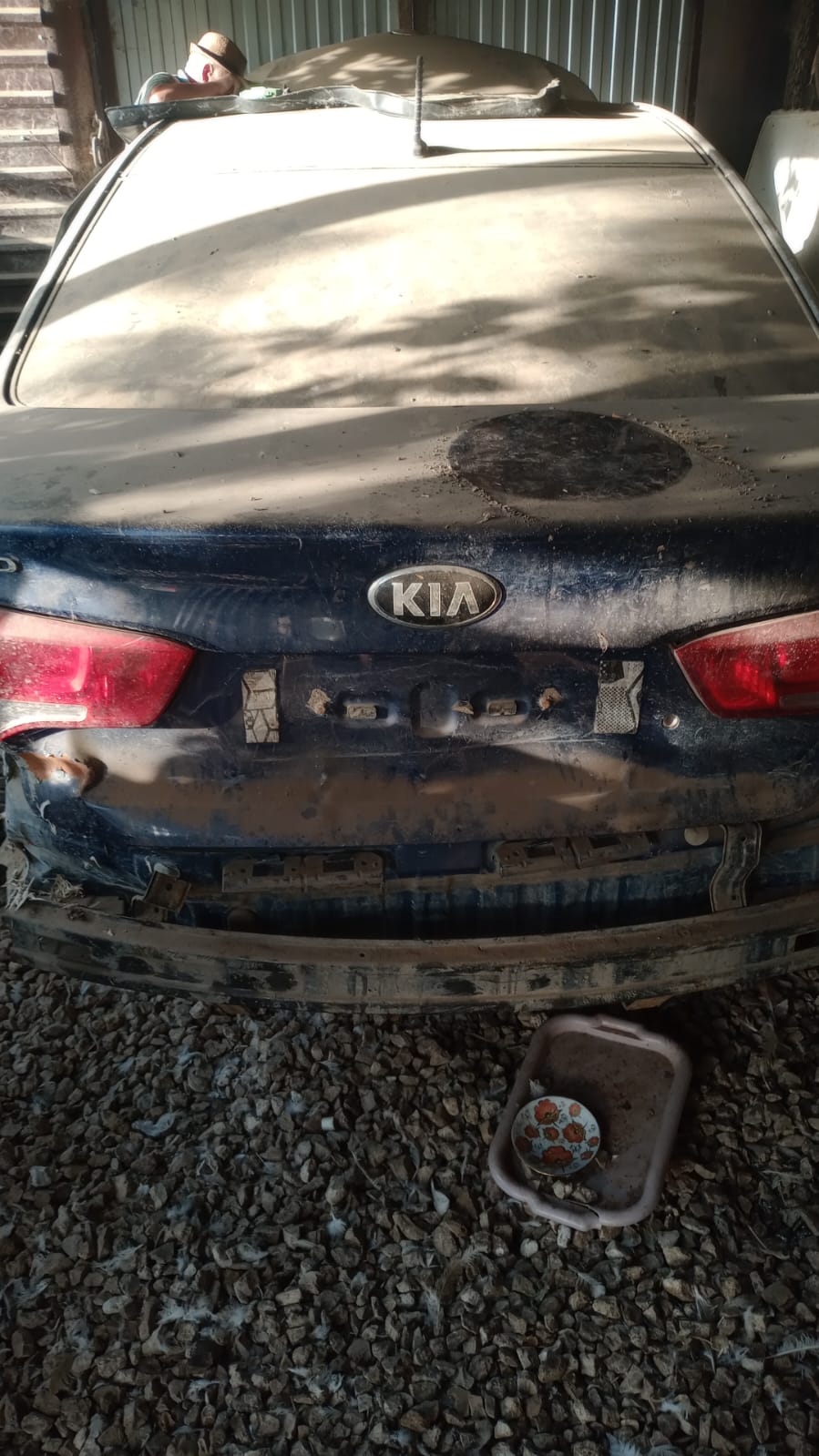 Kia Rio 2016 год