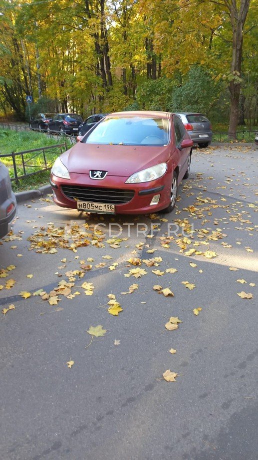Peugeot 407 2008 год