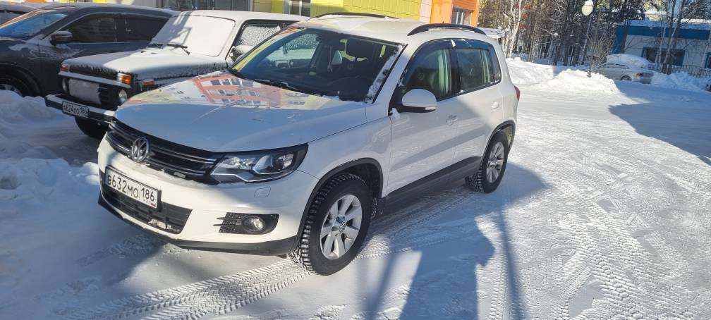 Volkswagen Tiguan 2013 год
