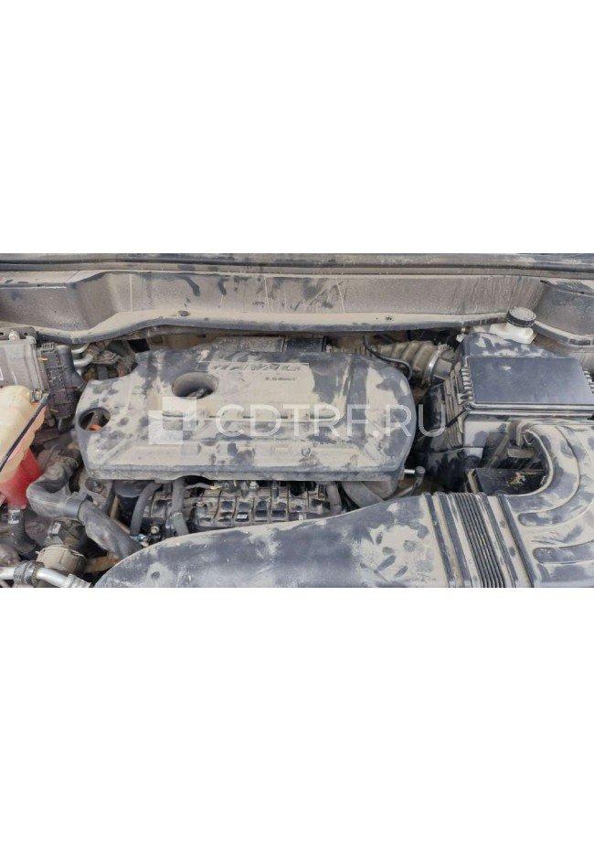 Haval F7X 2019 год