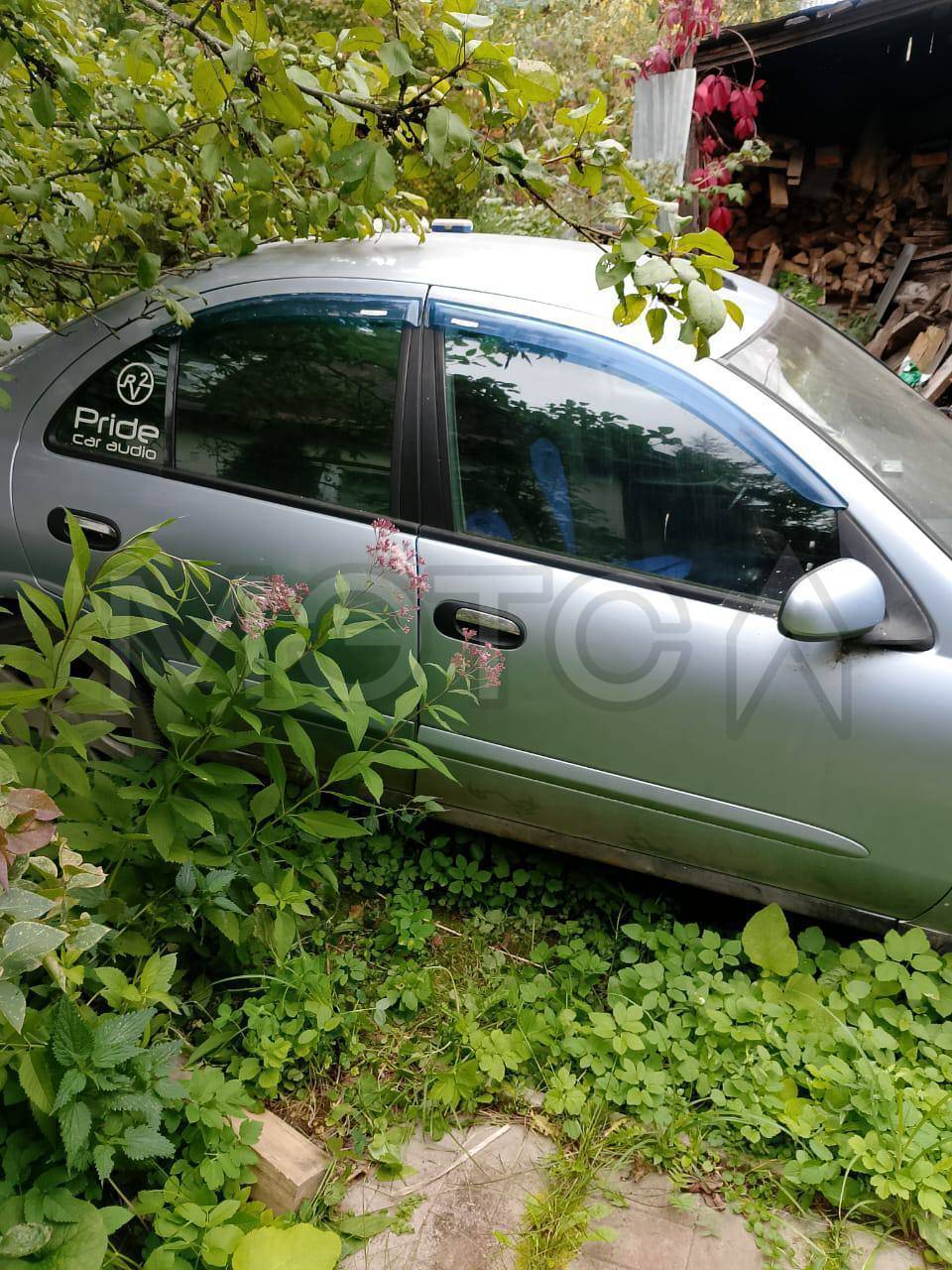 Nissan Almera 2005 год