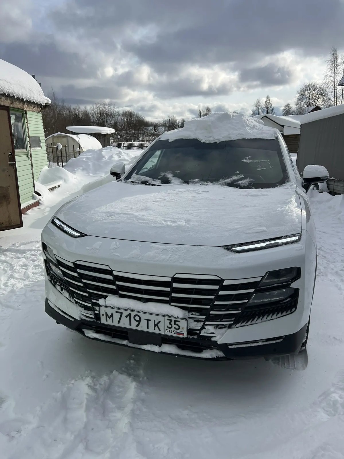 Jetour Dashing 2024 год